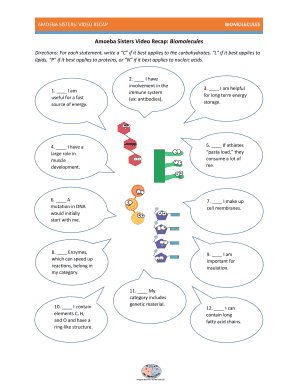 Amoeba Sisters Video Recap Biomolecules  Form