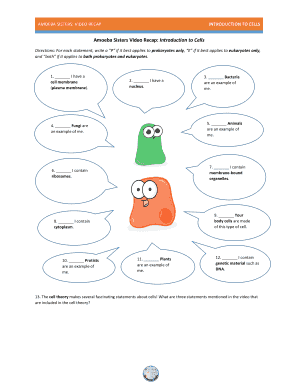 Amoeba Sisters Video Recap Introduction to Cells Answer  Form