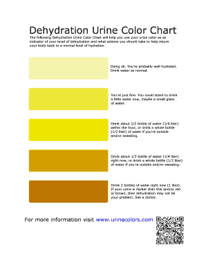 Pee Color Chart  Form