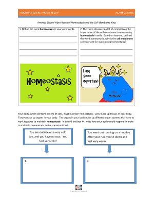 Amoeba Sisters Video Recap of Homeostasis and the Cell Membrane King Answer Key  Form