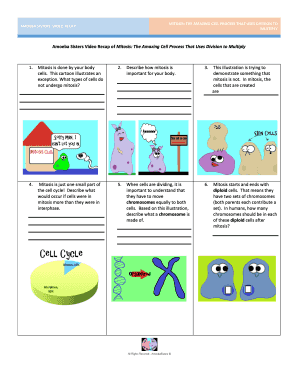 Amoeba Sisters Video Recap of Mitosis the Amazing Cell Process that Uses Division to Multiply Answer Key  Form