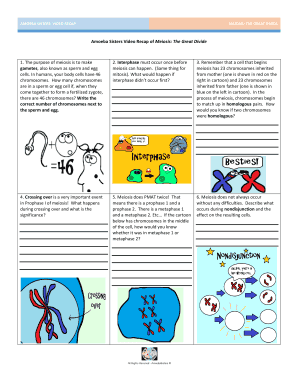 Amoeba Sisters Video Recap of Meiosis Answer Key PDF  Form