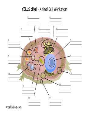 Cells Alive Animal Cell Worksheet  Form