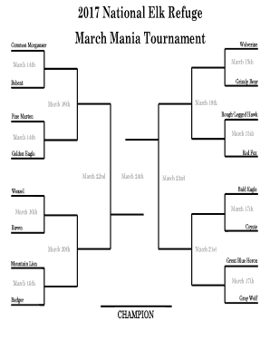 16 Team Bracket  Form