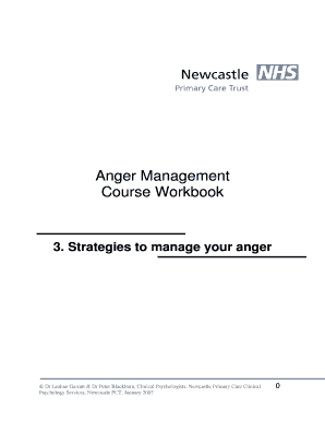 Workbook 3 Strategies to Manage Your Anger DOC  Form