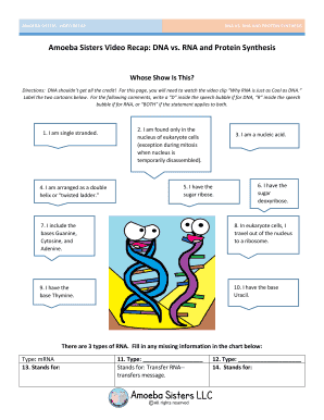 Dna Vs Rna and Protein Synthesis Updated Answer Key PDF  Form