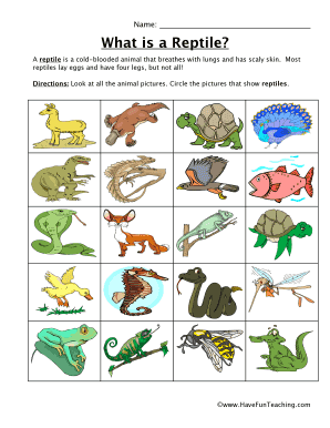 Reptile Classifying Worksheet  Form