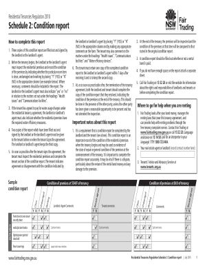  Condition Report Template Nsw 2010