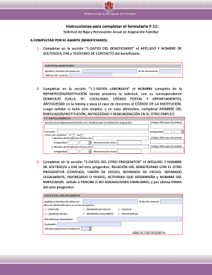 Formulario F11 PDF