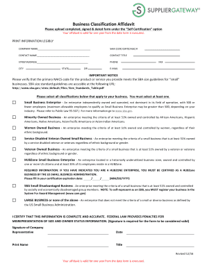 Business Classification Affidavit DOCX  Form