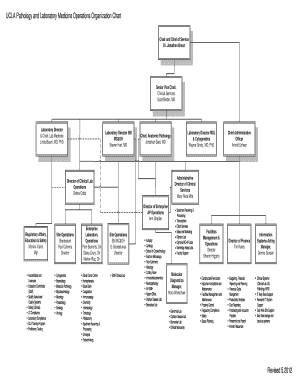 Ucla Health Org Chart  Form