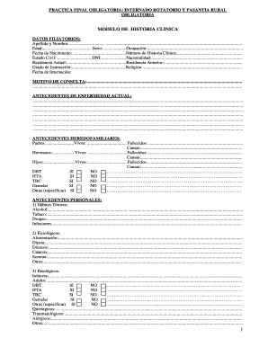 PRACTICA FINAL OBLIGATORIA Historia Amp Final DOC  Form