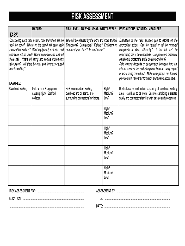 Risk Assessment Example PDF  Form
