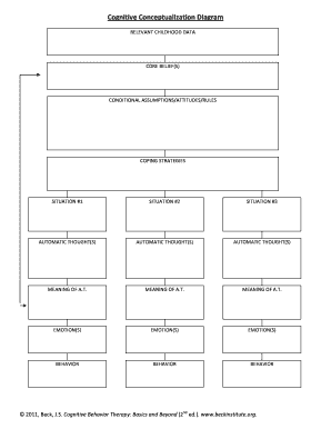 Case Conceptualization Form Ccd