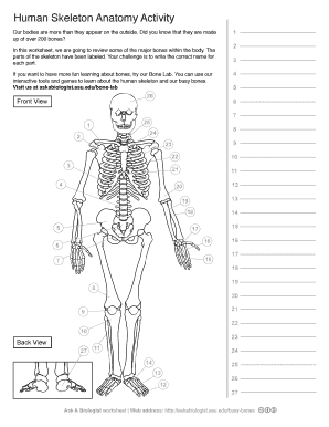 Ask a Biologist Human Skeleton Worksheet Activity Human Skeleton  Form