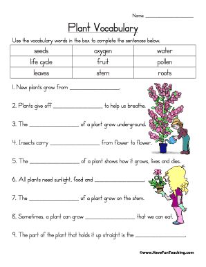 Plant Vocabulary Worksheet Answers  Form