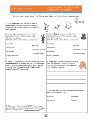 Amoeba Sisters Video Recap Food Chains Food Webs and an Introduction to Biodiversity  Form