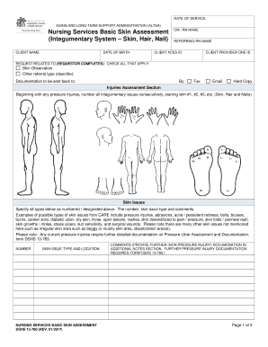 Basic Skin Assessment  Form