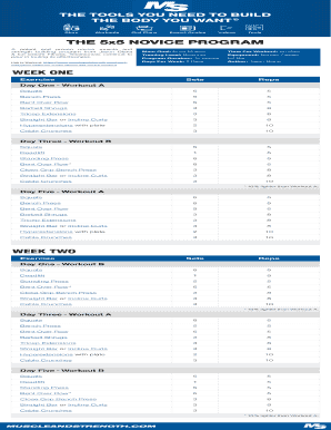 5x5 Workout Program PDF  Form