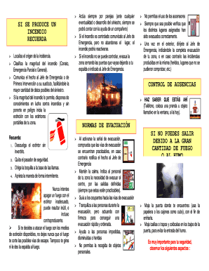 Triptico De Incendios  Form