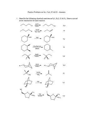 Sn1 Sn2 E1 E2 Practice Problems with Answers PDF  Form