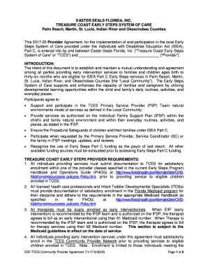  TCES Provider Agreement Easterseals 2020