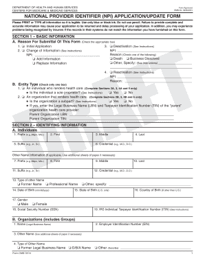 National Provider Identifier Npi Applicationupdate Form