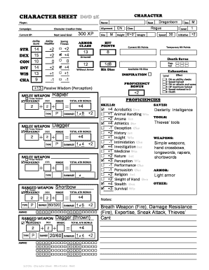 Rogue Character Sheet 5e PDF  Form