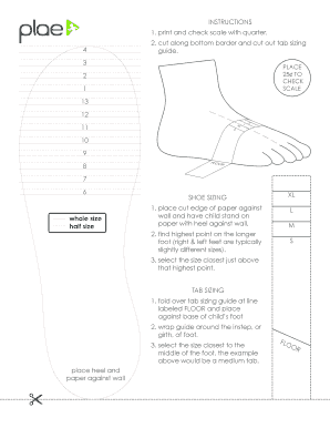 Plae Fit Kit  Form