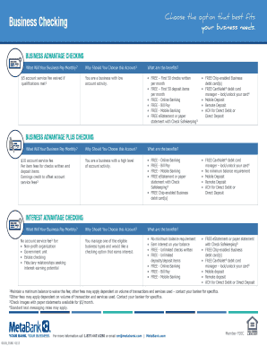 Metabank Statement Template  Form