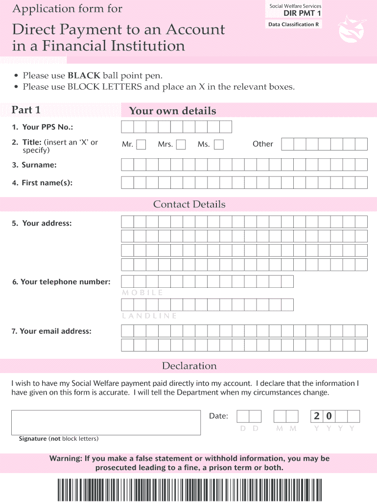  Dir Pmt1 Form 2012