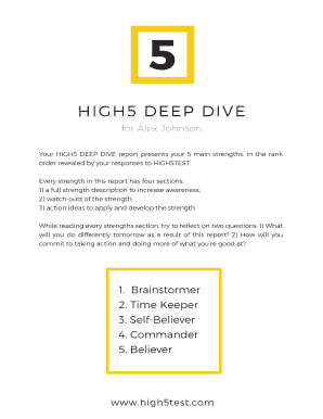 High 5 Test Full Report  Form