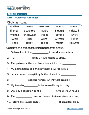 Noun Worksheet for Class 3 PDF  Form