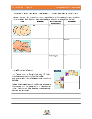 Amoeba Sisters Video Recap Monohybrid Crosses Mendelian Inheritance Answer Key  Form