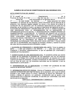 Acta Constitutiva Ejemplo  Form