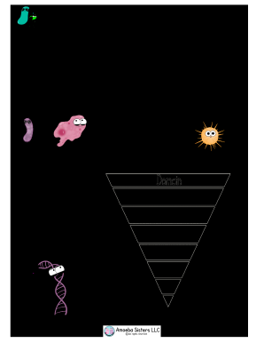 Amoeba Sisters Video Recap Classification  Form