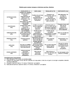 Rubrica Para Un Ensayo  Form