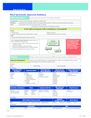 Pals Systematic Approach  Form