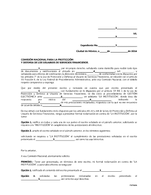 El Presente Es Un Instructivo Para La Elaboracin De Su Escrito De  Form