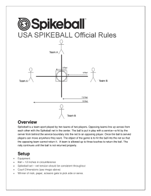 Printable Spikeball Rules  Form