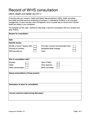 Record of WHS Consultation  Form