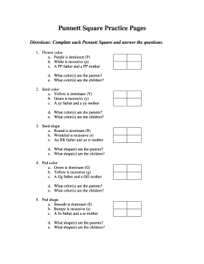 Punnett Square Practice Pages  Form