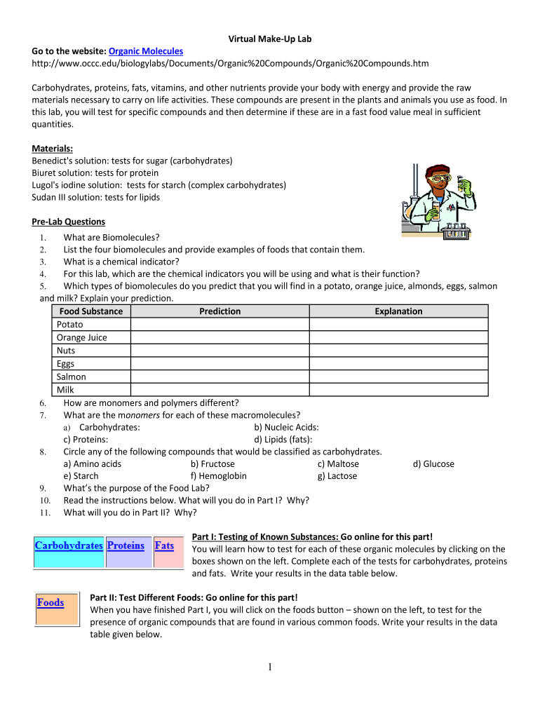 Virtual Makeup Lab Answer Key  Form