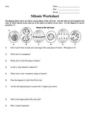 Blank Mitosis Diagram  Form