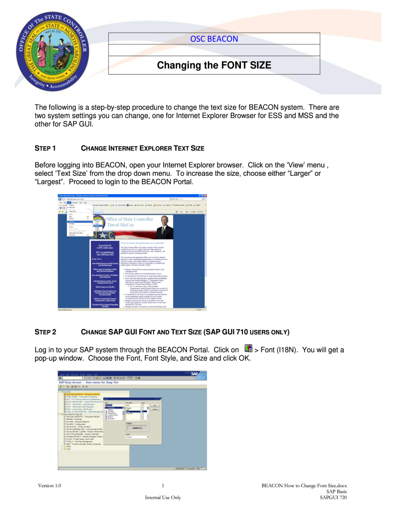 Changing the FONT SIZE  Form