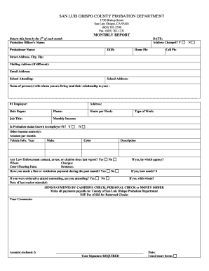 Slo Probation Monthly Report  Form