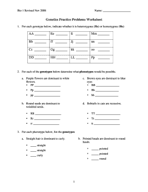 Genetics Practice Worksheet  Form