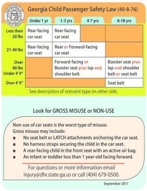 Booster Seat Age Georgia Form Fill