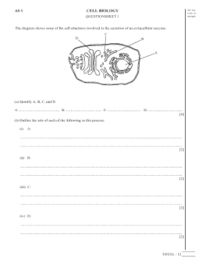 The Diagram Shows Some of the Cell Structures Involved in the Secretion of an Extracellular Enzyme  Form