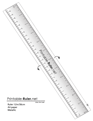 Ruler 12in 30cm A4 Metallic  Form